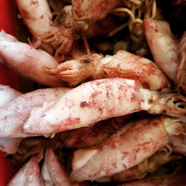 

Asin cumi 60 per 500 gram