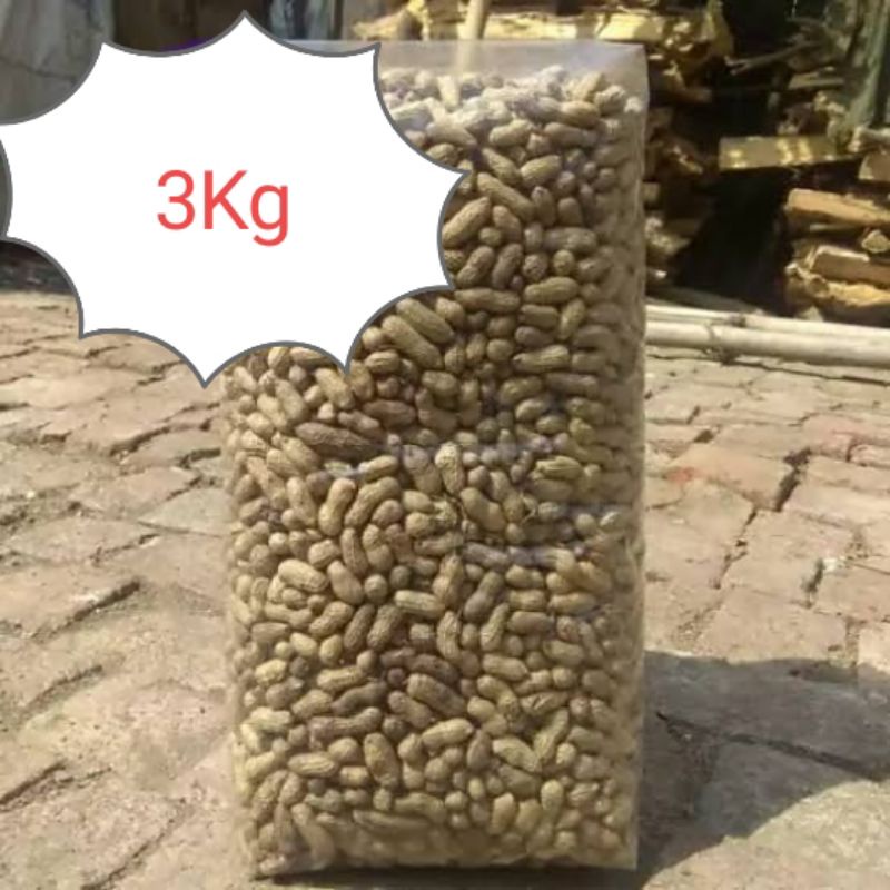 

Kacang Kulit Sangrai gurih