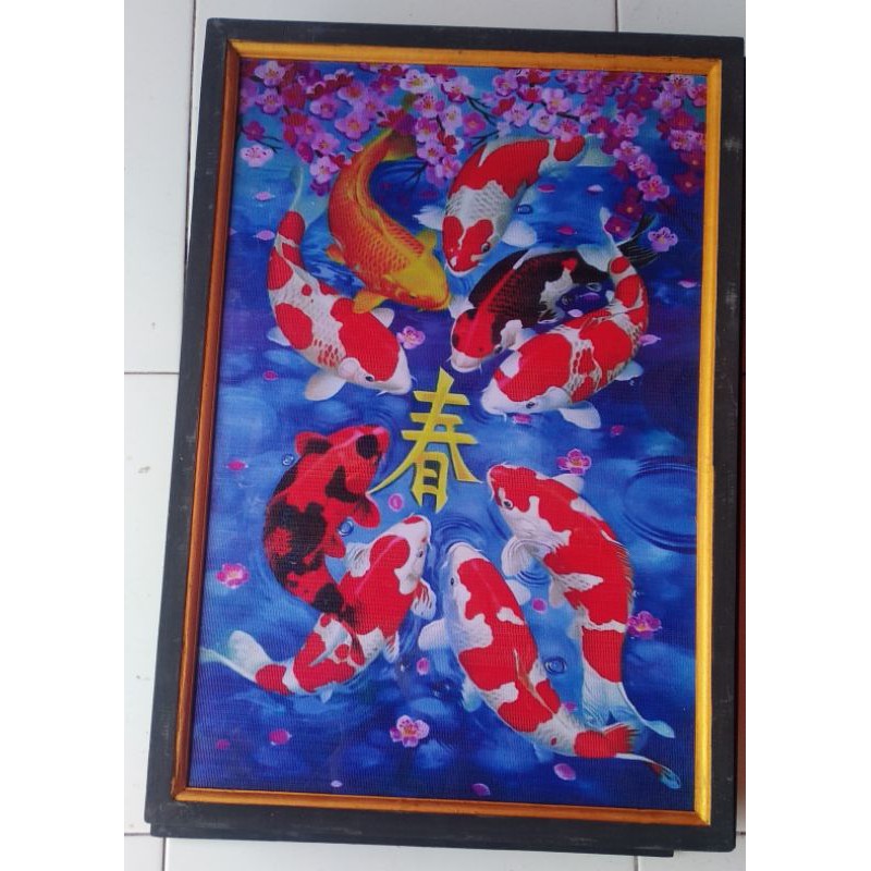 hiasan dinding lukisan cetak ikan koi sakura plus Bingkai ukuran 65×45