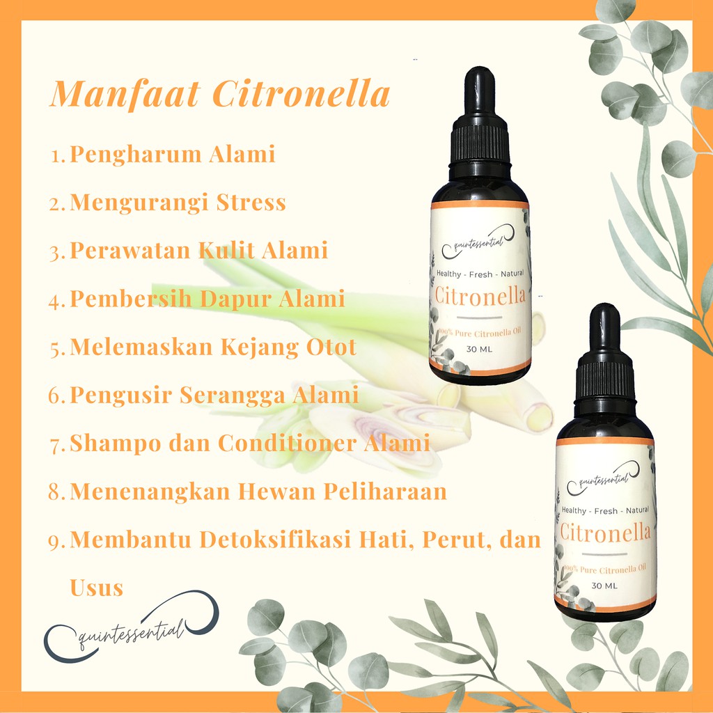 Minyak Atsiri Esensial Oil Citronella Sereh Wangi 30ml Free Sabun Sereh
