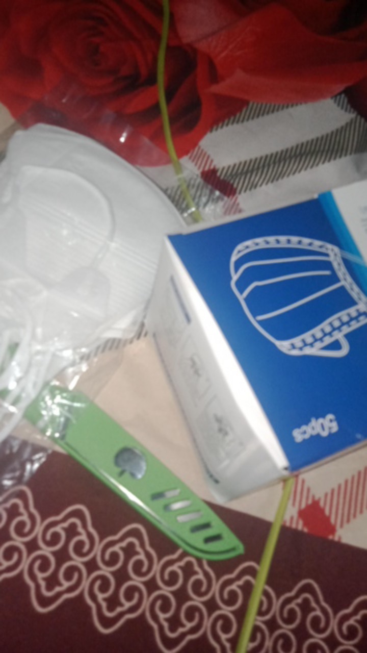 Pisau Buah Sayur Makanan Kitchen Set Stainless Steel Knife Dapur Unik / Pisau Apel