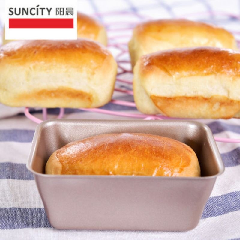 suncity 6pcs rectangle mini loaf pan / loyang roti