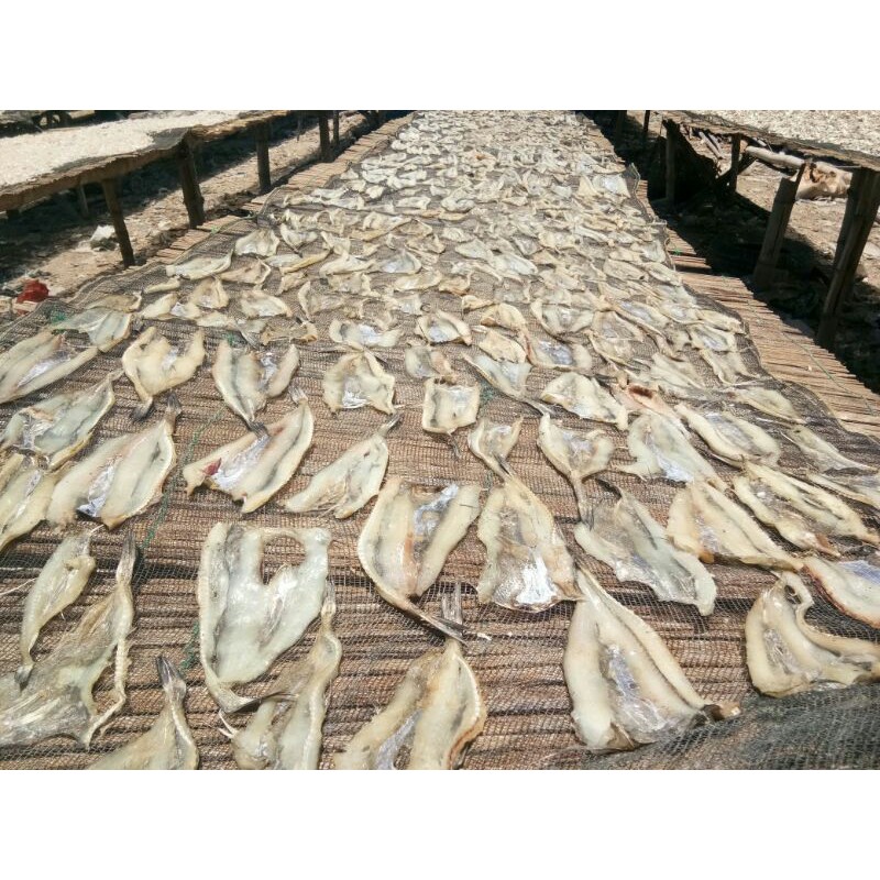 

ikan kering jambrong asli murah / 200gram
