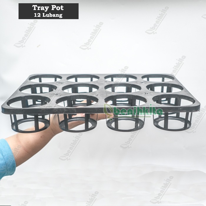 Tray Semai/Pot Tray Bibit Anggrek 12 Lubang