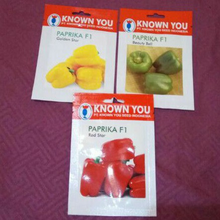 benih paprika golden star, paprika beauty bell, paprika red star