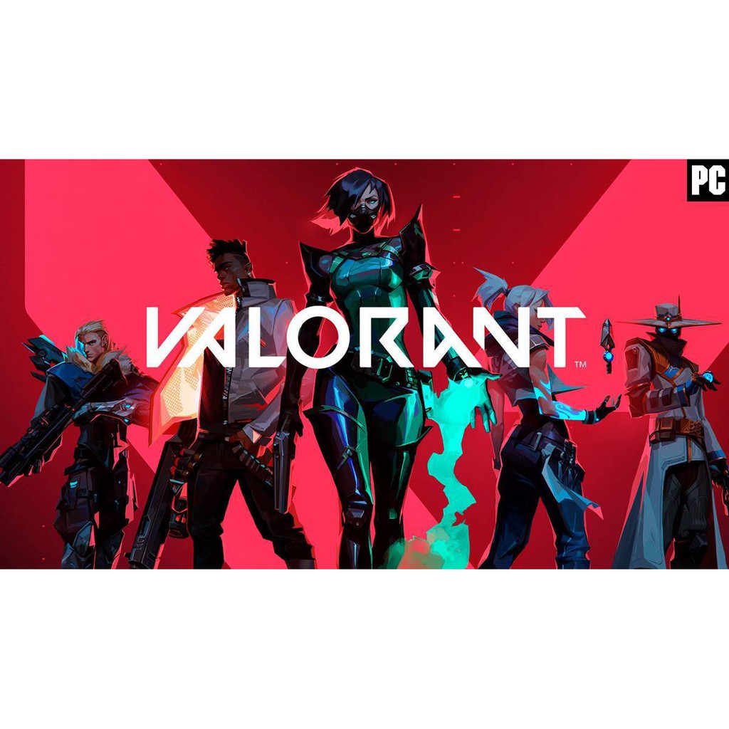 VALORANT Riot game Pc game Data backup