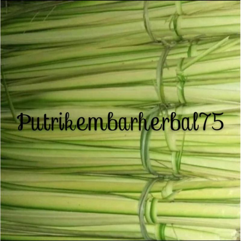 

janur kelapa kuning per bonjor kisaran100lembar