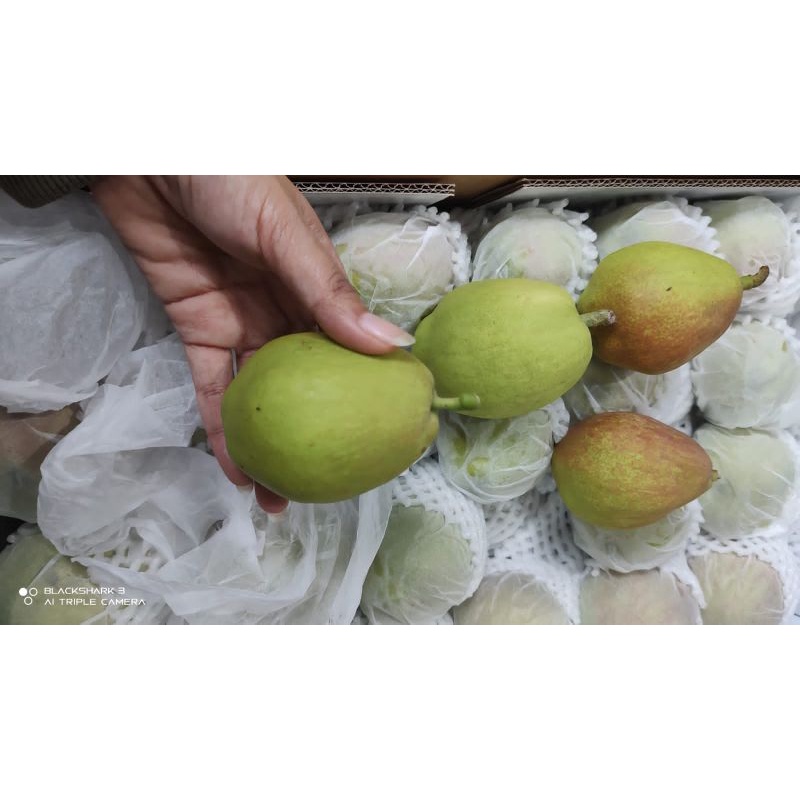 

pearl xiang lie ( 2 )