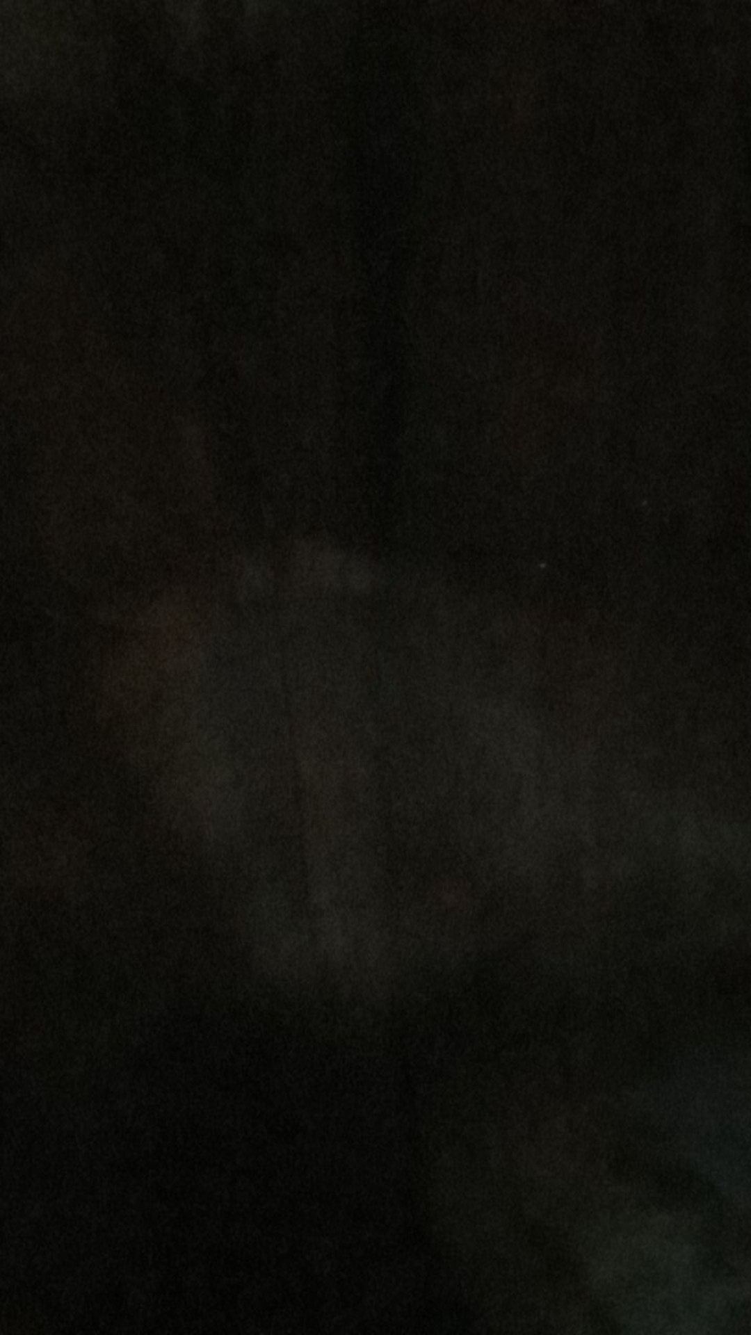 Racun Lalat Ampuh Zhang Pei Zhen Curah 500 Gram