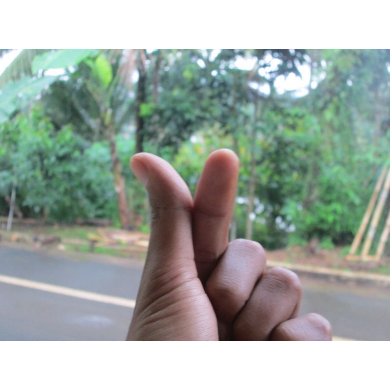 KAMERA POCKET CANON POWERSHOT A2300 BEKAS SECOND MULUS-5