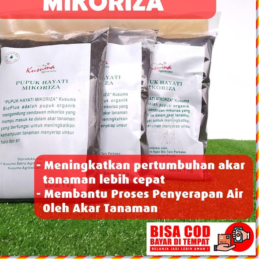 ☆ Pupuk Mikoriza Fungisida Hayati Organik r Kusuma Bioplus ♨