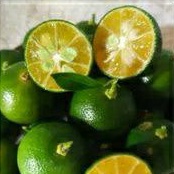 

jeruk sun songkit jeruk kunci fresh per 1 kg