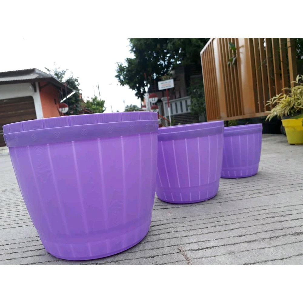 Pot Bibit Bunga Lovenia 27 Ungu Pot Gentong Ungu Pot Bunga Plastik 27 Bibit Bunga Ungu Berkualitas