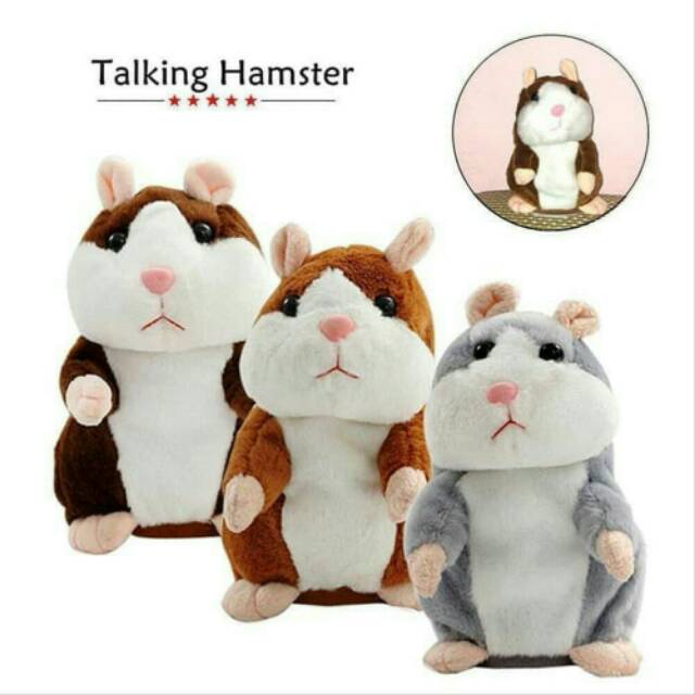 Hamster Bicara / Hamster Rekam /Hamster Pintar