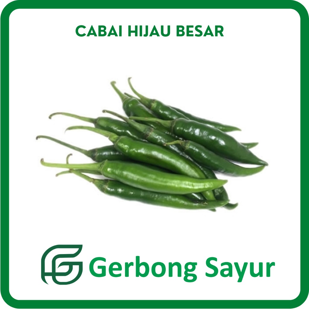 

Cabai Hijau Besar - Cabe Hijau Besar Segar - 250g