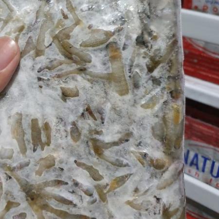 ➮ Ikan Cere Laut 500gr - Ikan Cere Beku Makanan Ikan Predator Pakan Ikan ♤