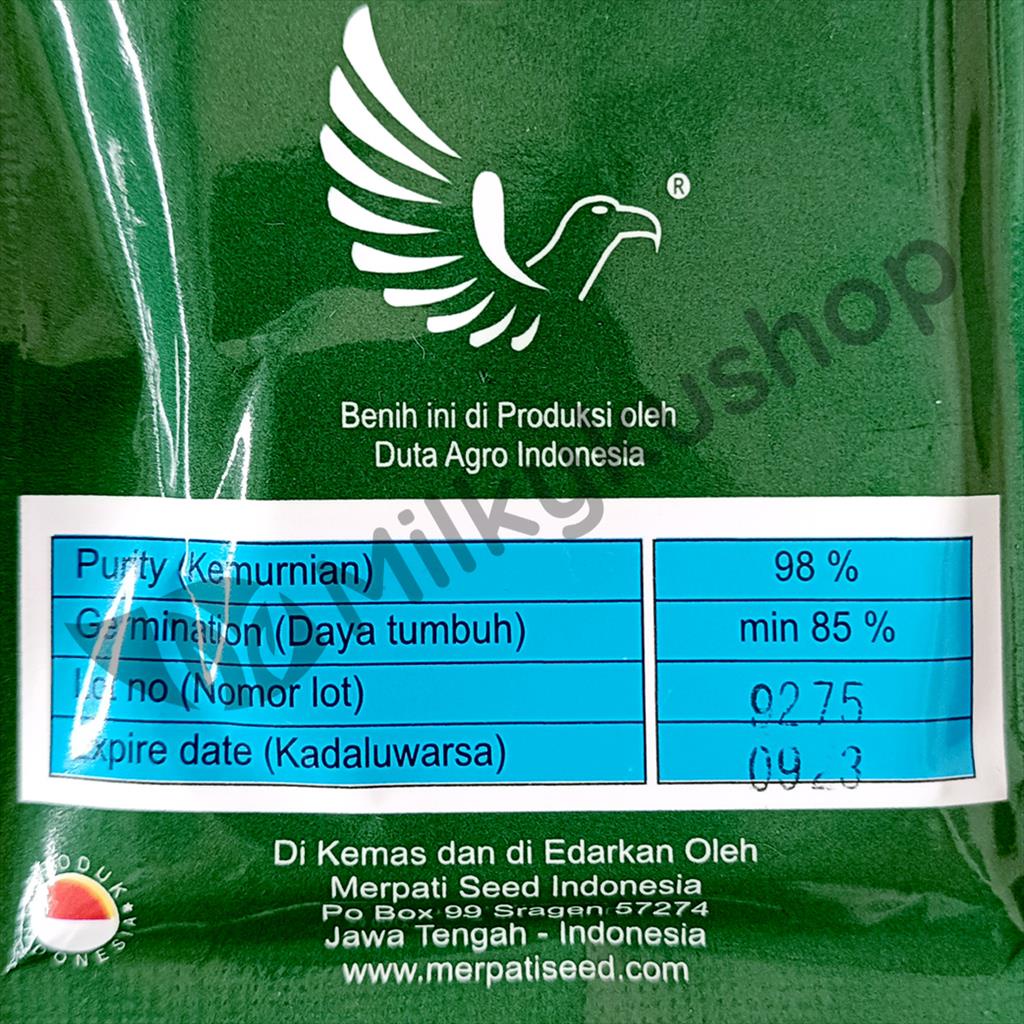 BENIH MERPATI SEED CITRA KANGKUNG UNGGUL 500 BIJI KEMASAN PABRIK