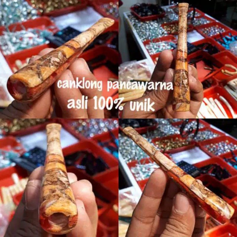 PIPA ROKO CANGKLONG