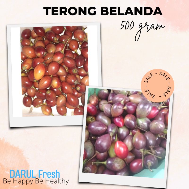 

terong kori terong belanda 500 gr