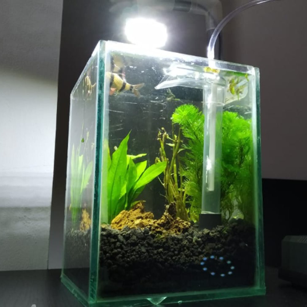 Paket Nano Aquascape Shopee Indonesia