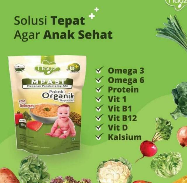 NAYZ MPASI Homemade  Organik Bubur Bayi Non Instant Homemade Organic