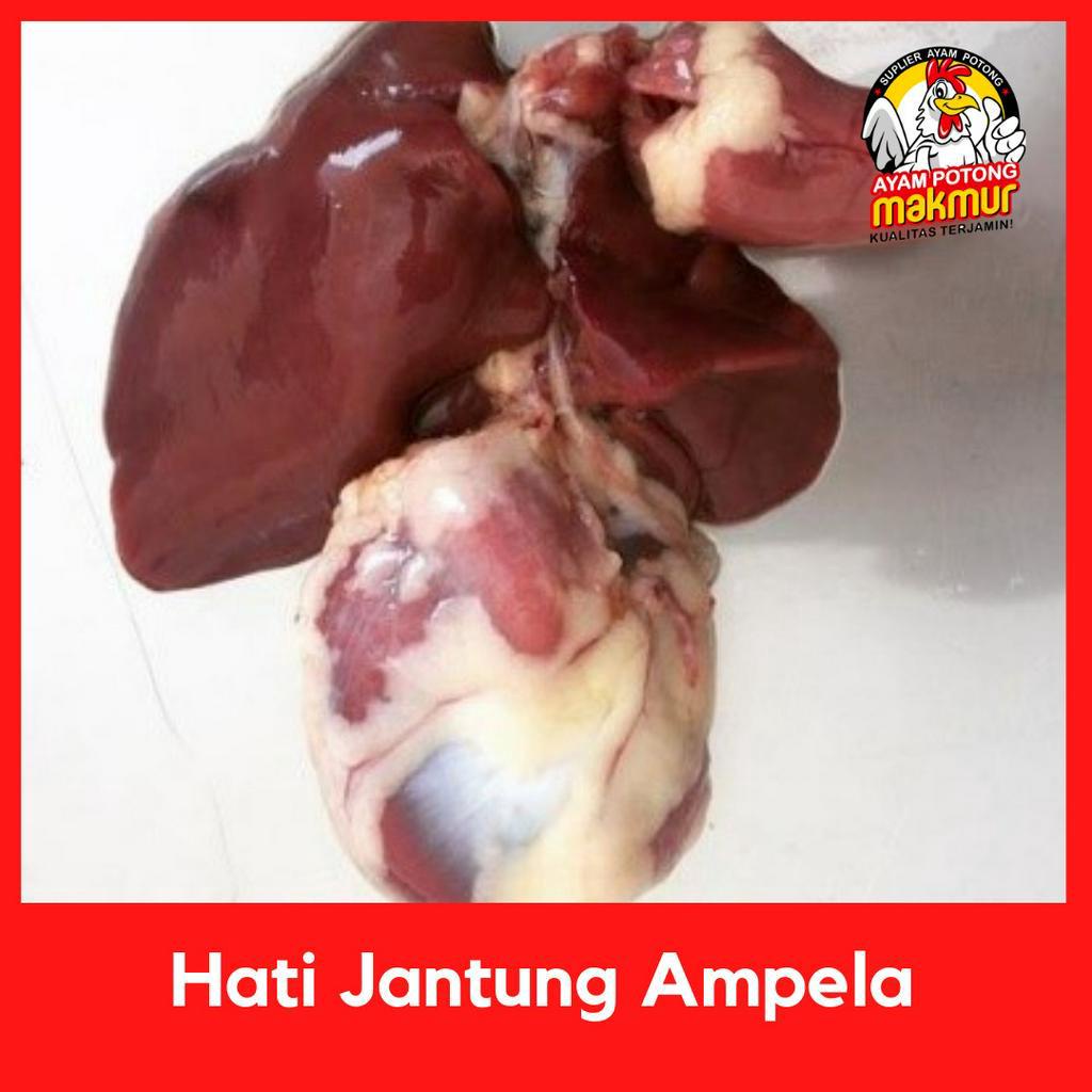 

Hati Ampela Jantung Bersih