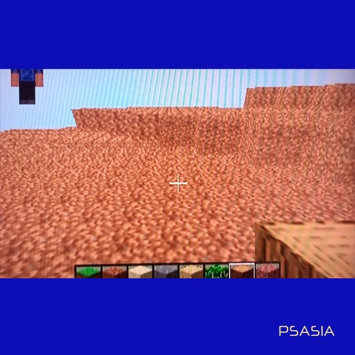 MINECRAFT PS 2