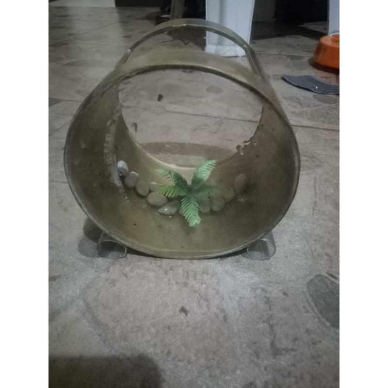 Aquarium Paralon Unik Cupang Guppy