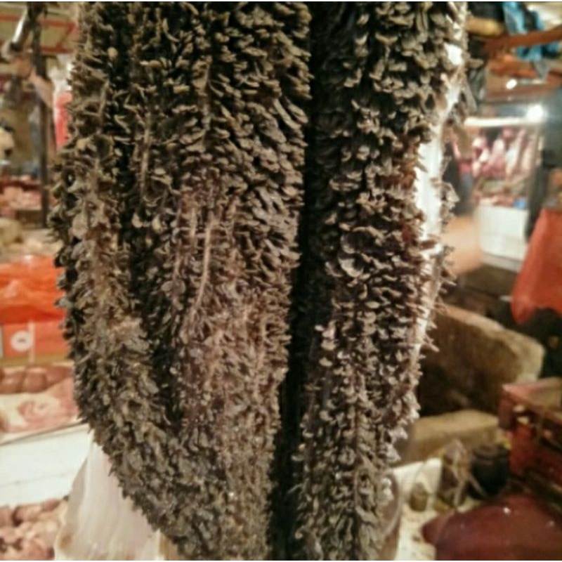 

BABAT SAPI | BABAT RAWEUY 500 GRAM
