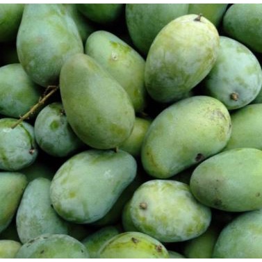 

Mangga Muda (1kg)