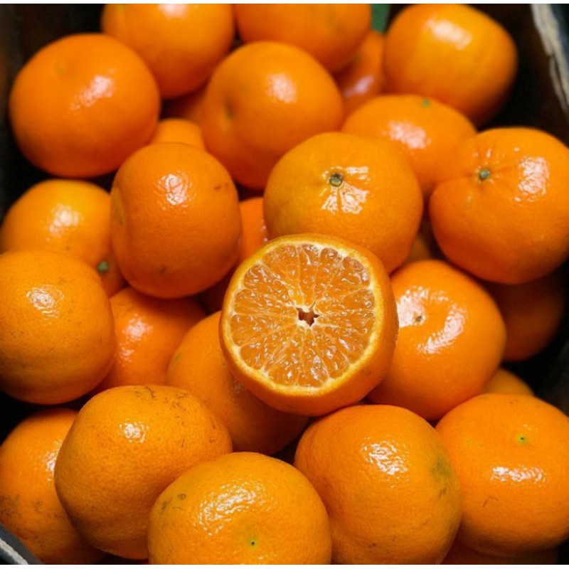 

jeruk mandarin 1kg