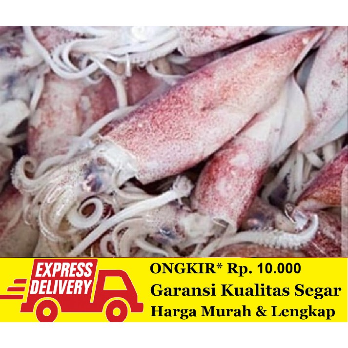 

Cumi Sedang Segar 500 gram