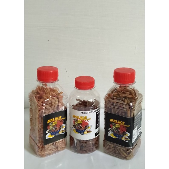 PELET JAHAT MALIKA UDANG SUPER MALIKA MAGGOT SUPER MALIKA PROGRES CHANNA