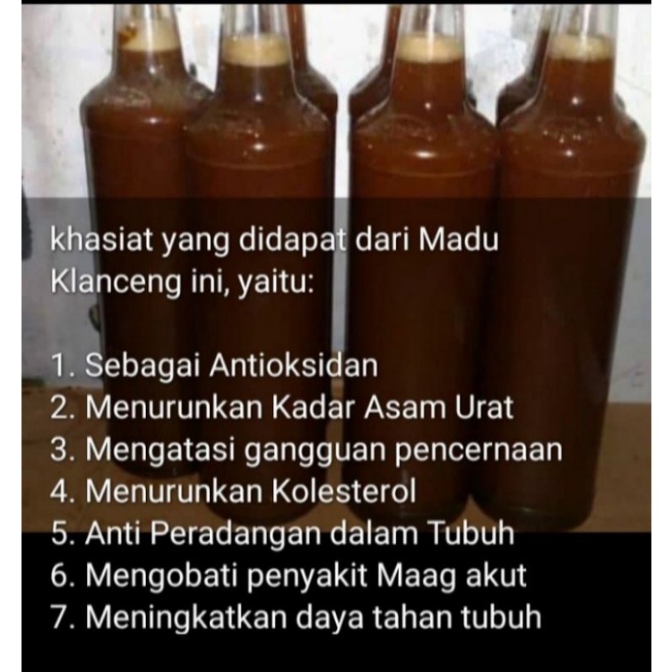 

Madu klanceng murni liar