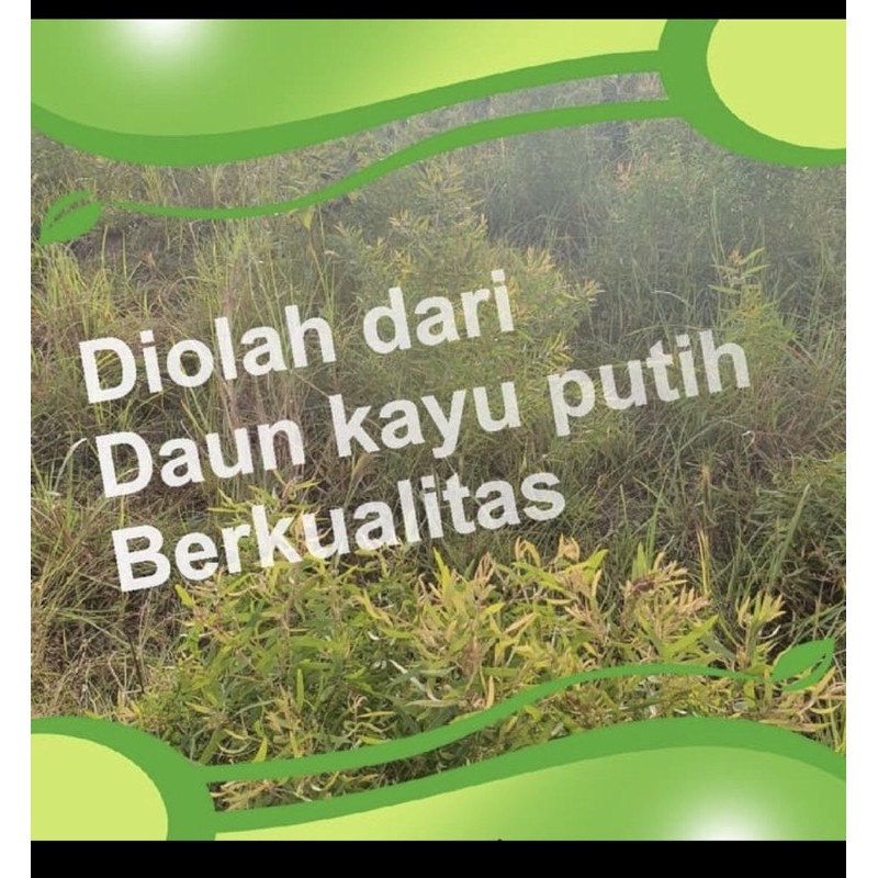 Minyak Sereh Asli Pulau Buru Ambon/ Murni 100 % Original/ Botol Spray