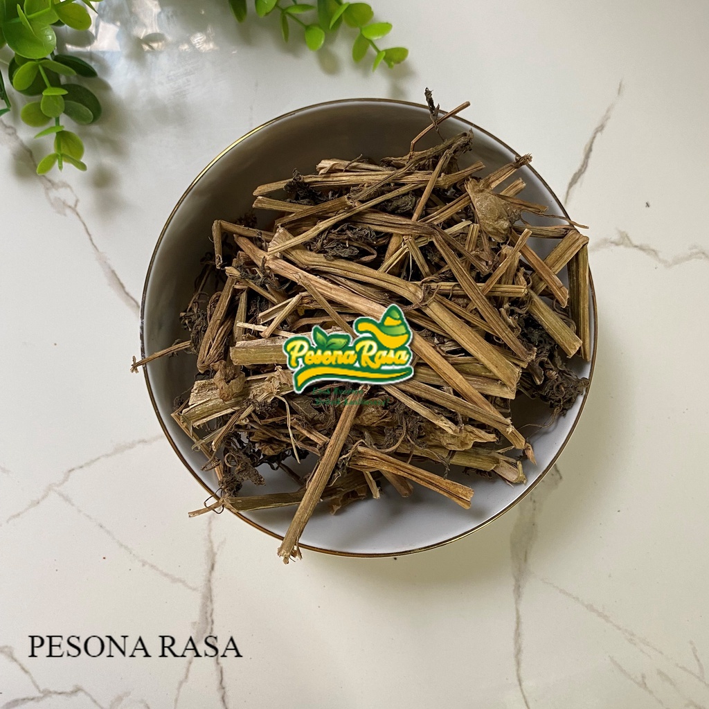 

BARU !! Daun Batang Dan Buah Ciplukan Kering Herbal / Dried Morel Berry