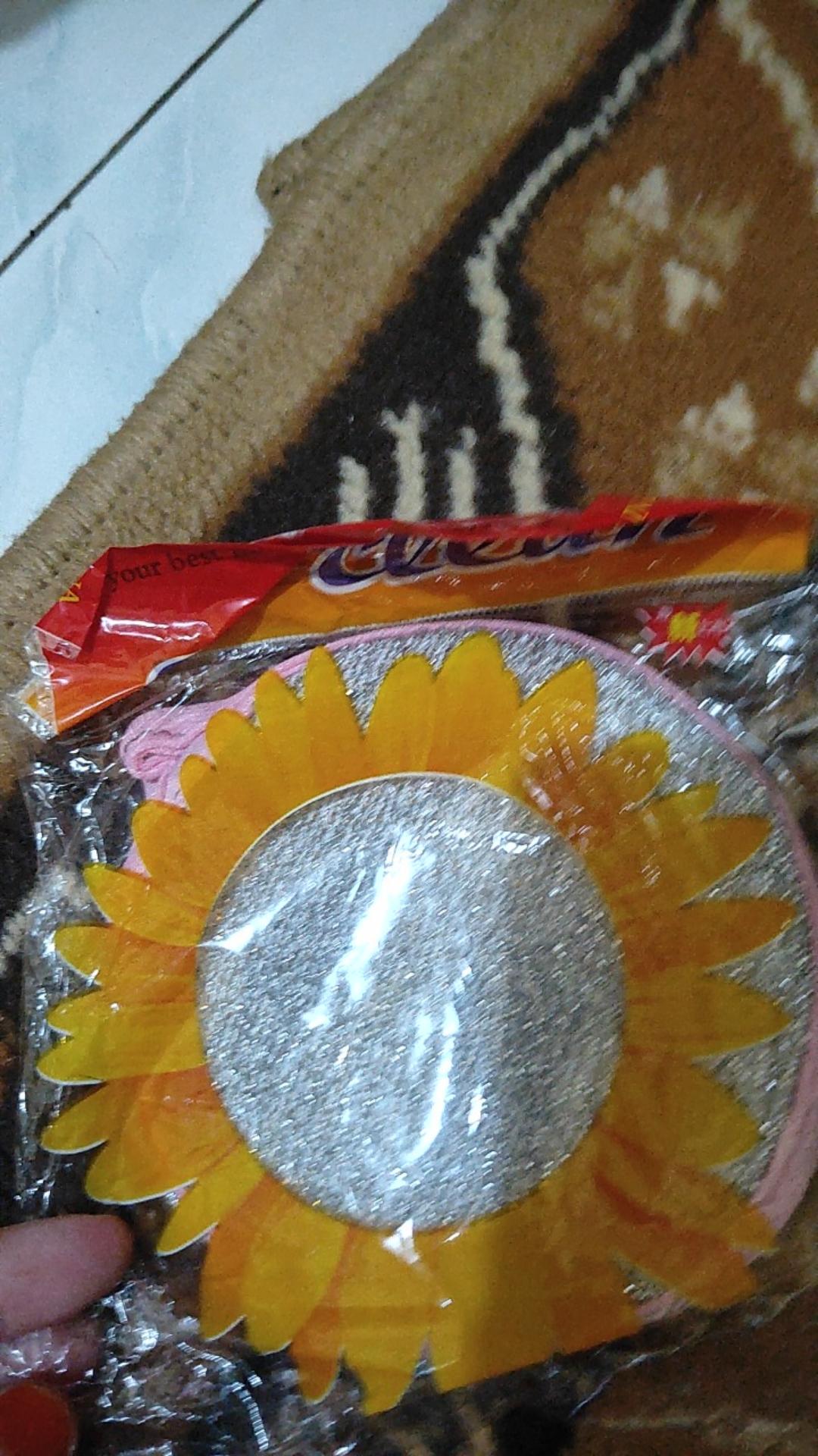 Spons Bulat Lap 2 Sisi Multifungsi Spon Piring Dan Lap