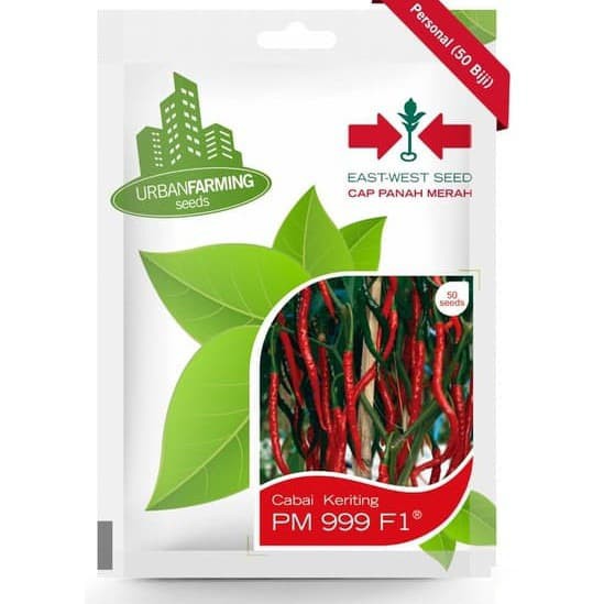Benih Cabai Keriting PM 999 F1 Isi 50 Cabe Biji Panah Merah