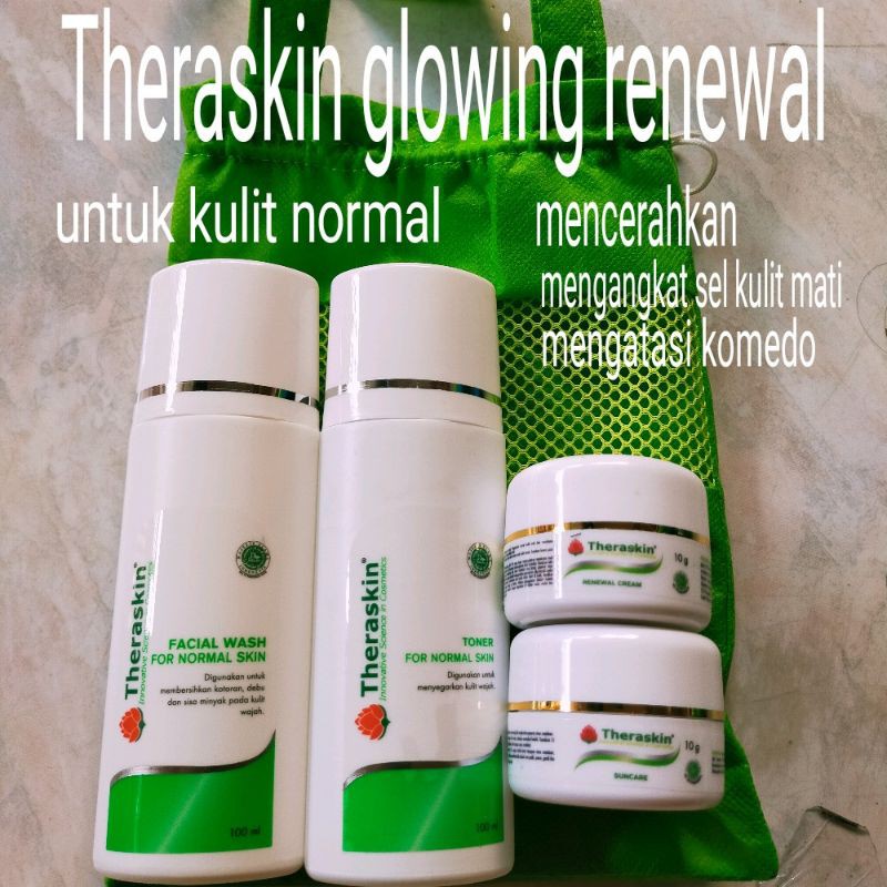 Theraskin paket glowing acne flek normal