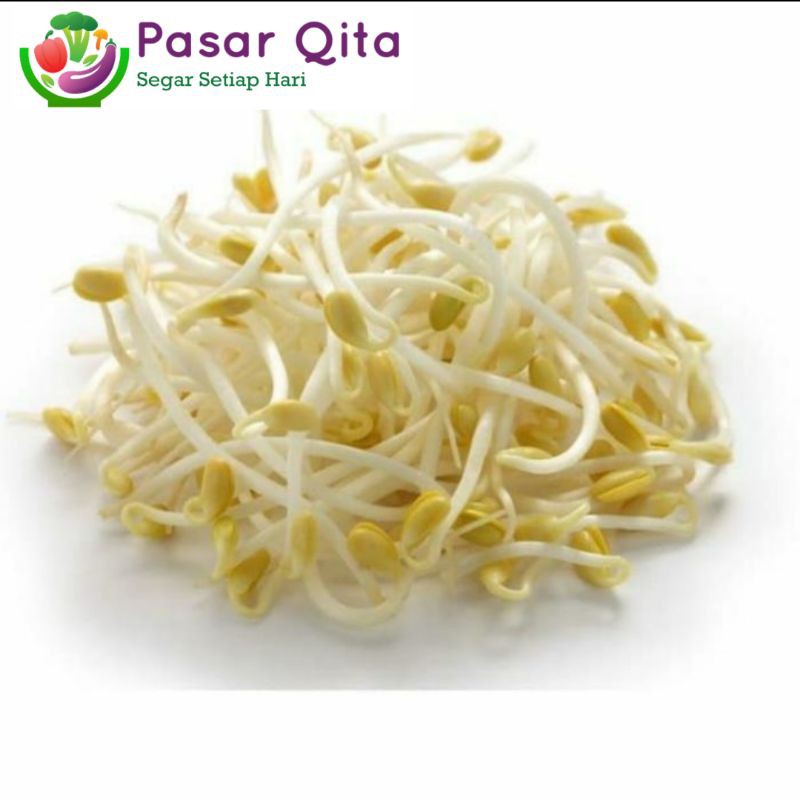 

Tauge | Toge Sayur - Per 500 Gram ( Pasar Qita )