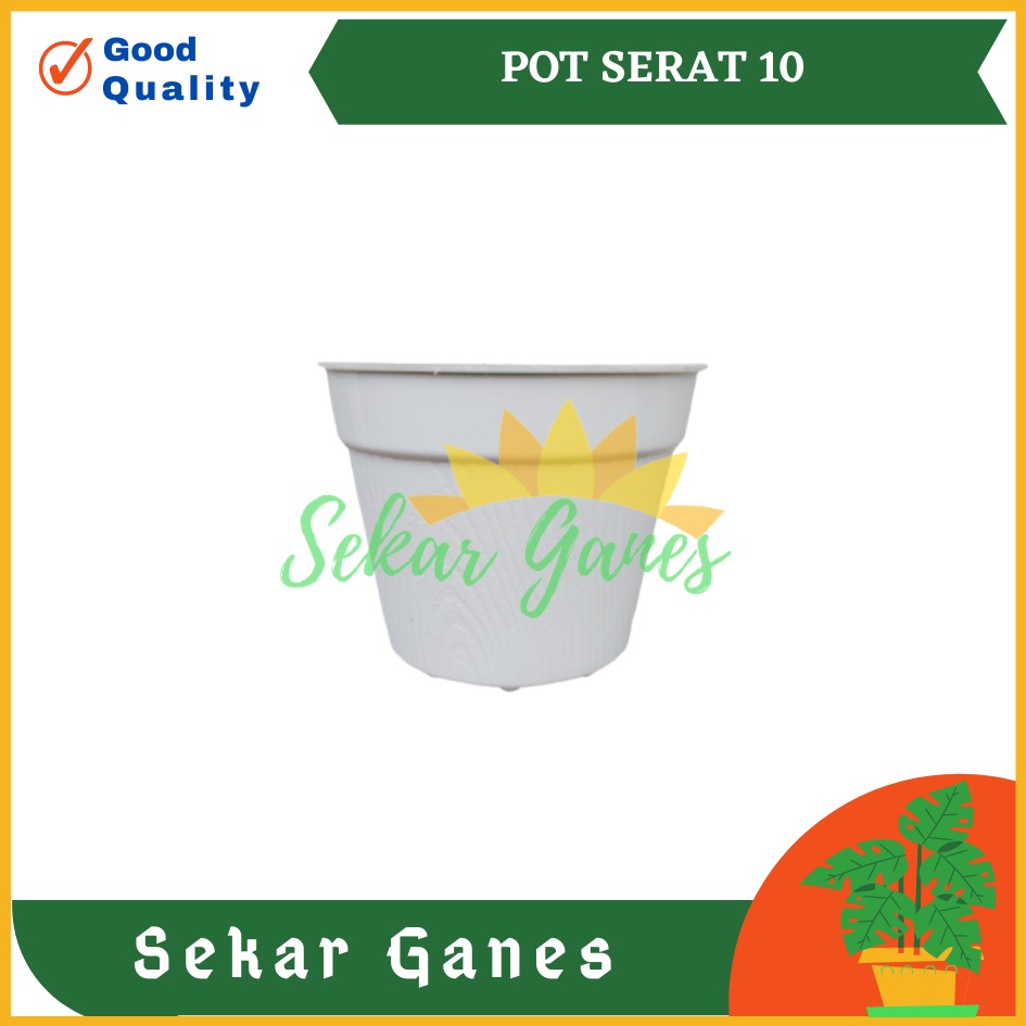 Pot Es Krim 10cm Putih Tanpa Lubang Bawah Pot Bunga 10 Cm Pot Mini Minimalis Kaktus Plastik Lucu Murah