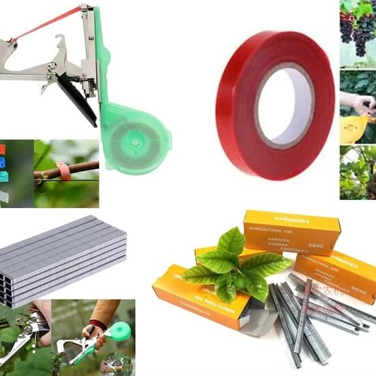 Paket Alat Pengikat Batang Tanaman Cabe Tomat
