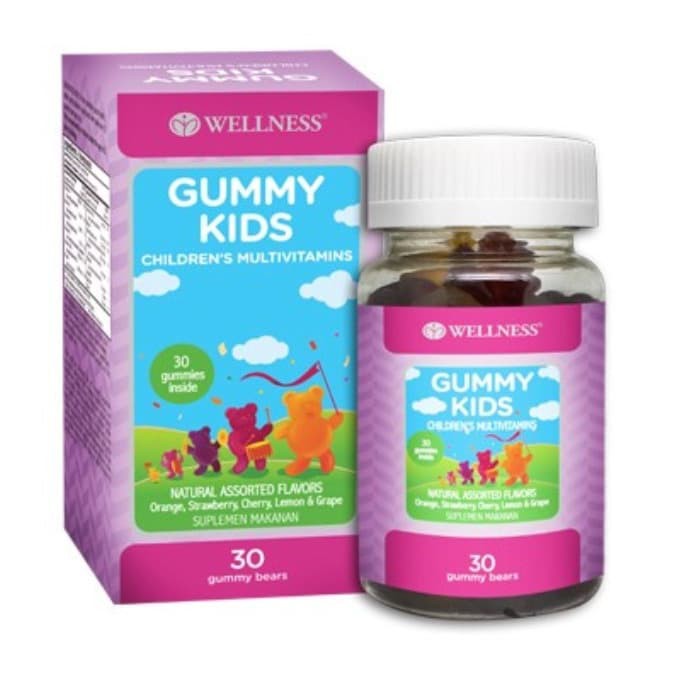 Multivitamin Anak Wellness Gummy Kids Children Multivitamin 30 Gummies