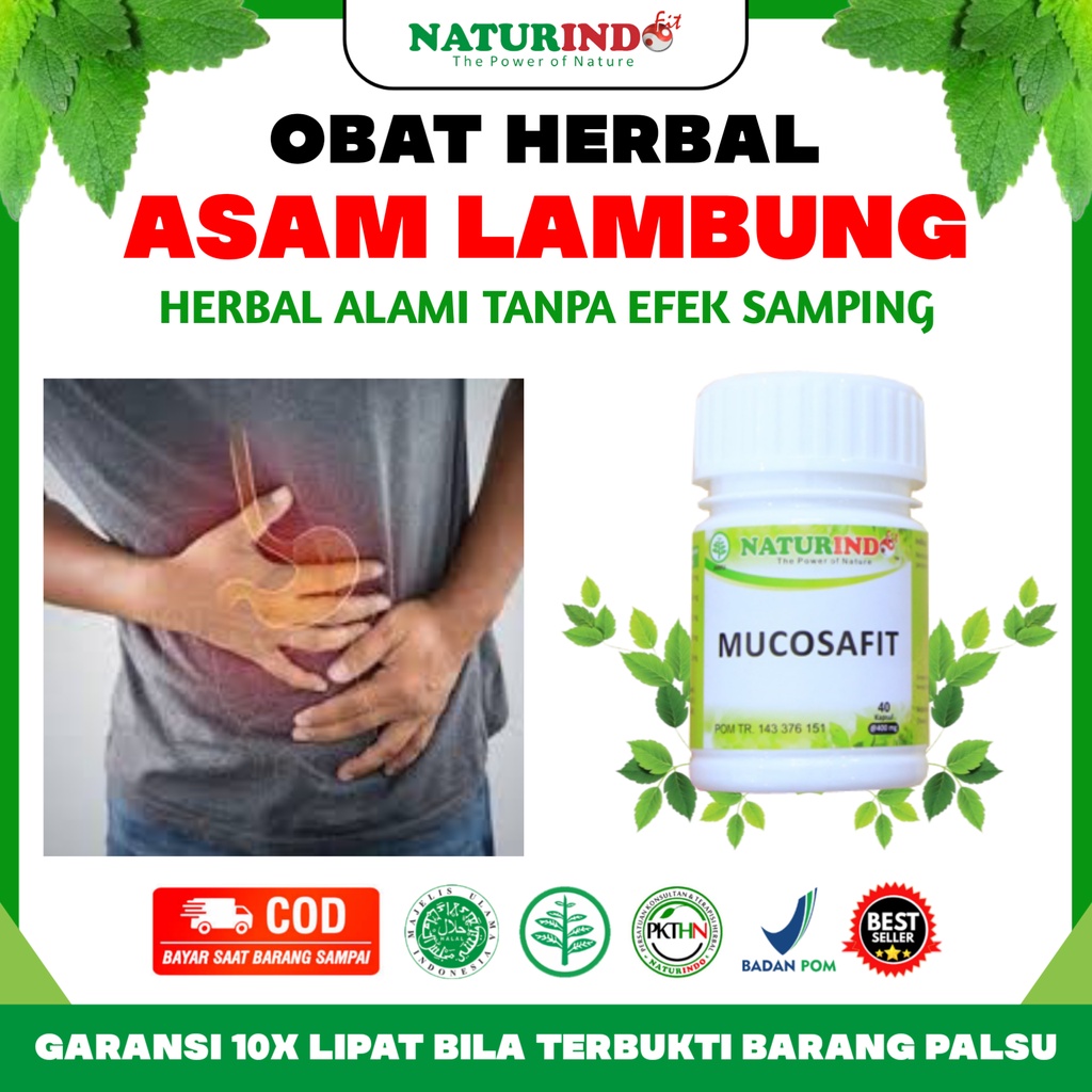 Obat Herbal Asam Lambung Tinggi Maag Magh & Gerd Kronis Gastritis Tukak Lambung Akut Sakit Perut Nyeri Ulu Hati Kembung Gangguan Pencernaan Panas Dalam Mucosafit Naturindo Bpom Herbal Paling Ampuh Halal Tanpa Efek Samping