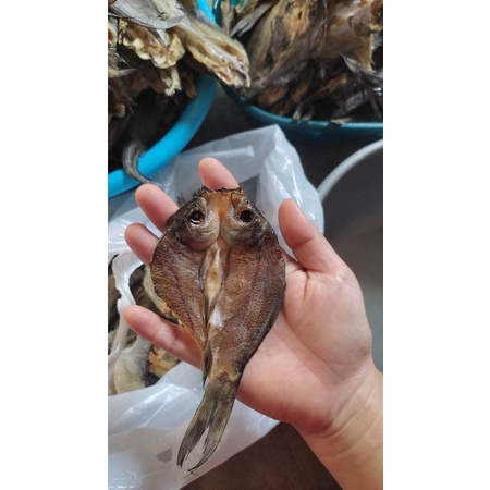 

ikan asin kalteng