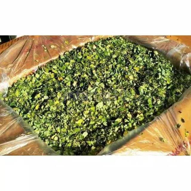 

Daun Kelor Kering