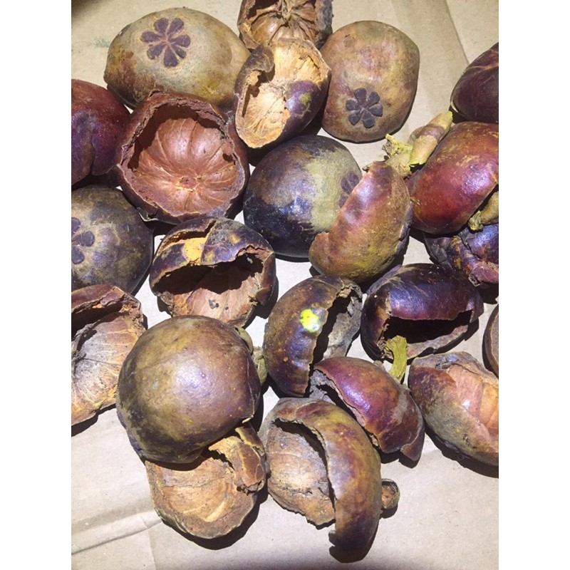 kulit manggis kering