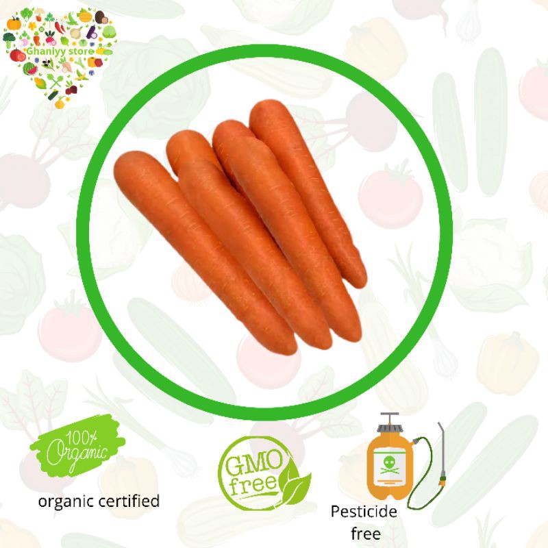 

Sayur Organik Bersertifikat - Wortel Berastagi Organik 500 gram