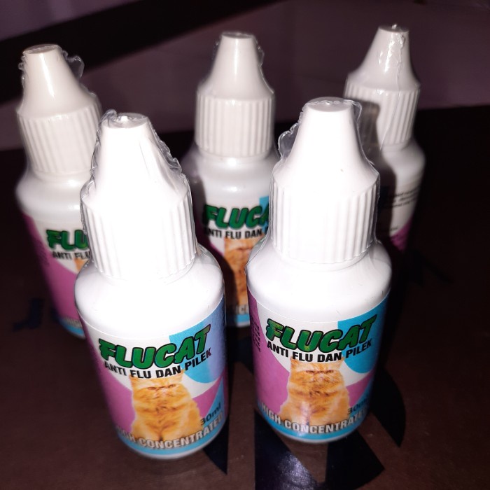 flu cat kucing obat flu kucing
