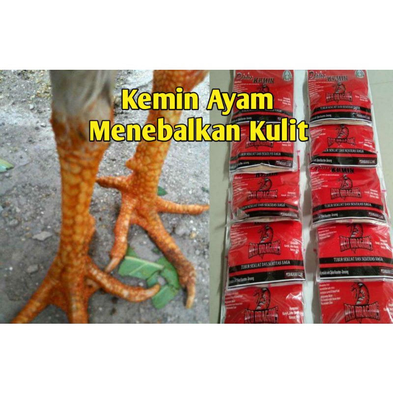 Kemin Ayam Menebalkan Kulit